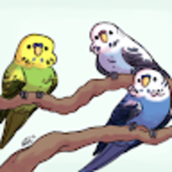 Meet your Posher, Batya - Picture 1 of 1